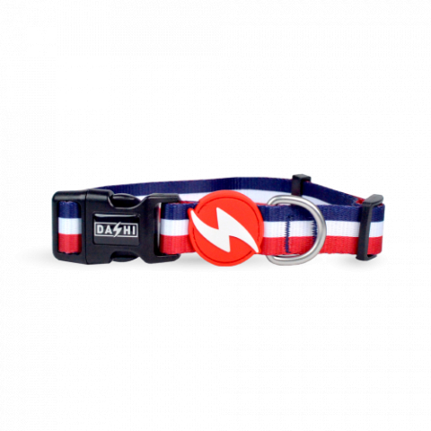 Caini - Dashi Zgarda Stripes Red & Blue