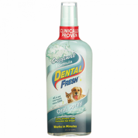 Produse Igiena si Ingrijire - DENTAL FRESH ORIGINAL FORMULA SPRAY-118ML