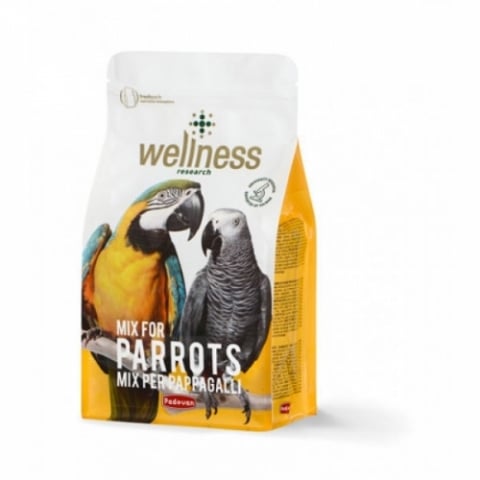 Pasari - Hrana pentru papagali Wellness 750 gr