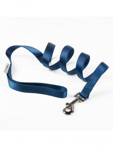 Caini - Lesa Nylon Albastru 1.5X120CM