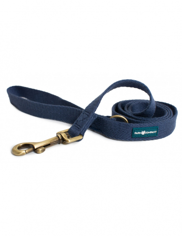 Caini - Lesa Soybean Albastru S/M 2X120 cm