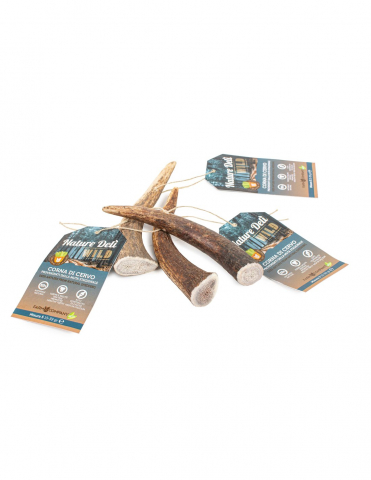 Lemne si coarne de cerb sau caprior - Recompensa corn natural de caprior S 15-39g