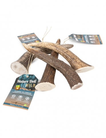 Lemne si coarne de cerb sau caprior - Recompensa corn natural de caprior L 76-150g