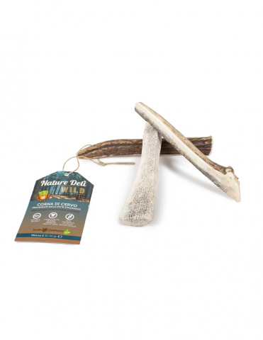 Lemne si coarne de cerb sau caprior - Recompensa corn natural de cerb S 30-50g