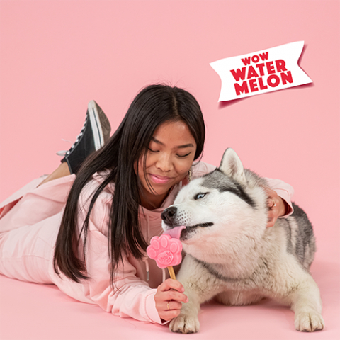 Smoofl Watermelon - Mix Inghetata pentru Caini cu Pepene [3]