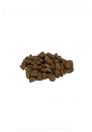 Weego Dog Grain Free Adult Somon Oceanic [1]