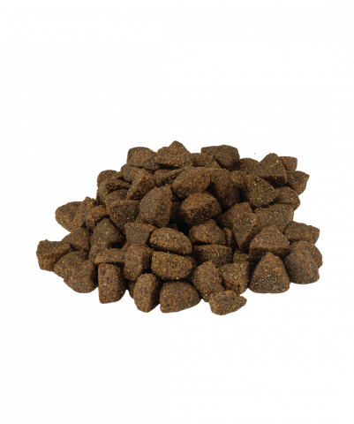 Weego Dog Grain Free Mini Adult Somon [1]