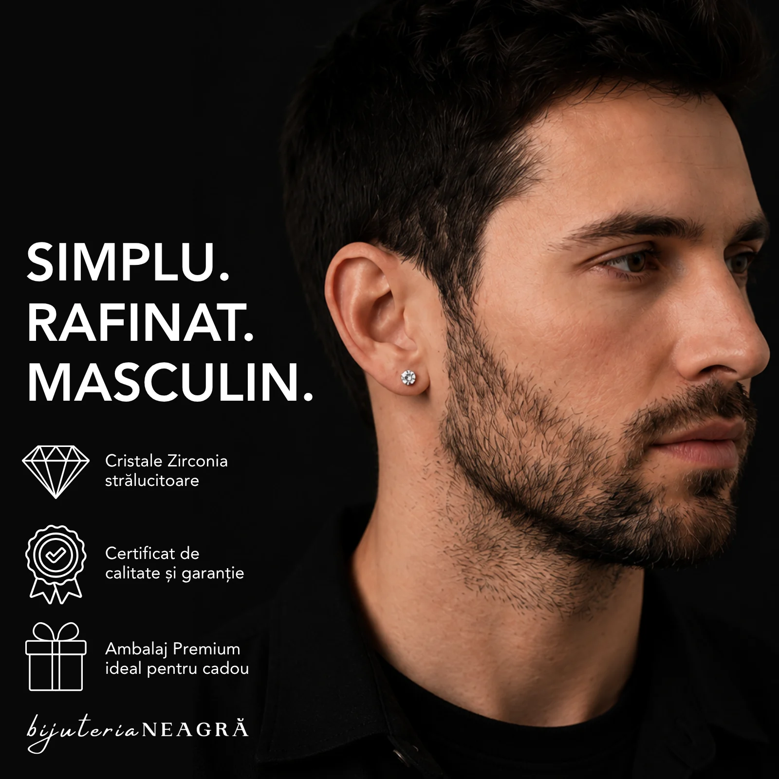 Cercel Pentru Barbati din Argint 925 cu Cristal Zirconia Argintiu [3]