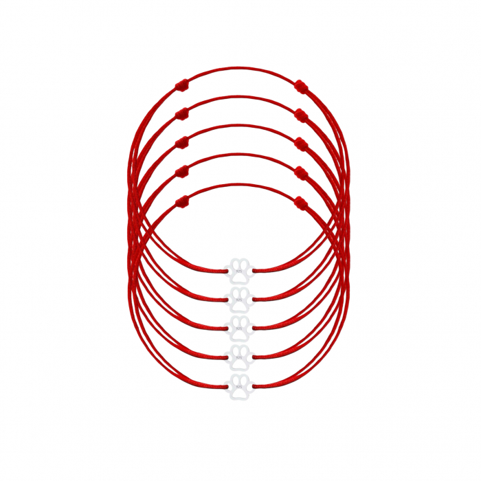 Set 5 Bratari Martisor cu Mini Labuta din Argint 925 [1]
