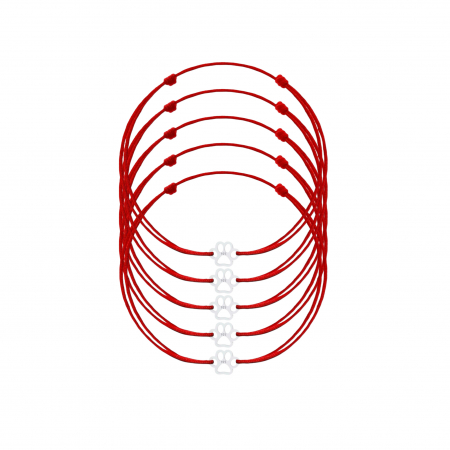 Argint 925 - Set 5 Bratari Martisor cu Mini Labuta din Argint 925