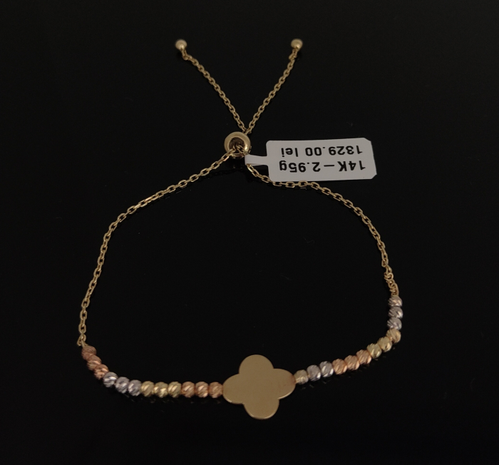 Bratara Aur 14k [1]