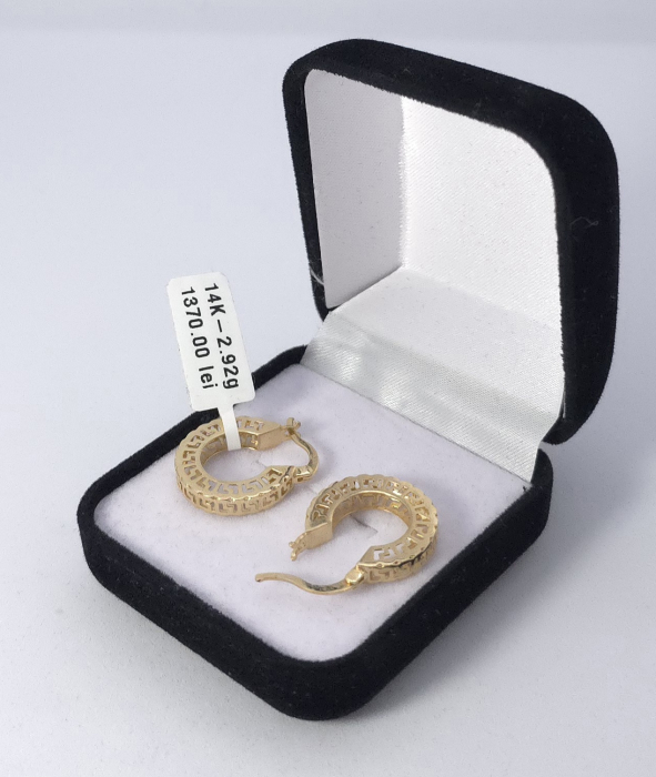 Cercei Aur Galben 14k [1]