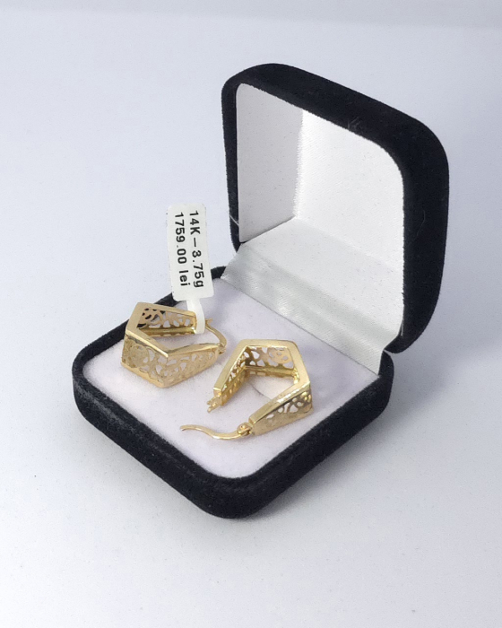 Cercei Aur Galben 14k [1]