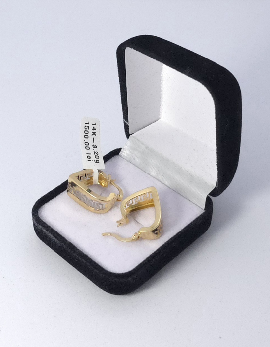 Cercei Aur Galben 14k [1]