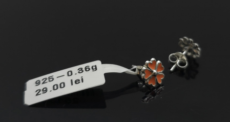 Bijuterii Argint - Cercei Argint 925