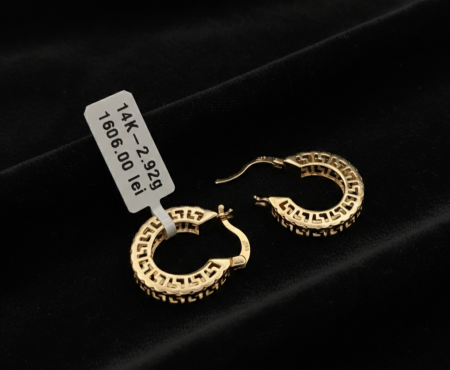 Cercei - Cercei Aur Galben 14k