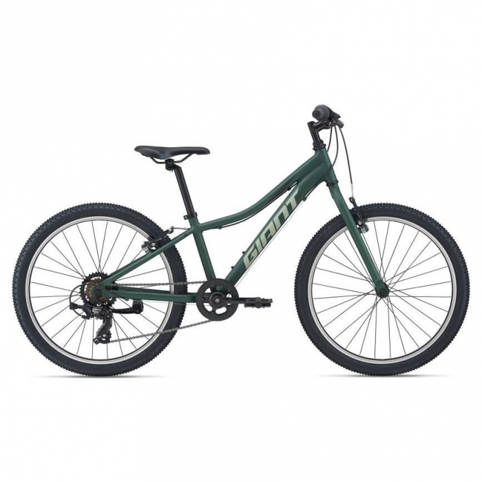 Bicicleta Copii GIANT XTC Jr 24" Trekking Green 2021 [1]