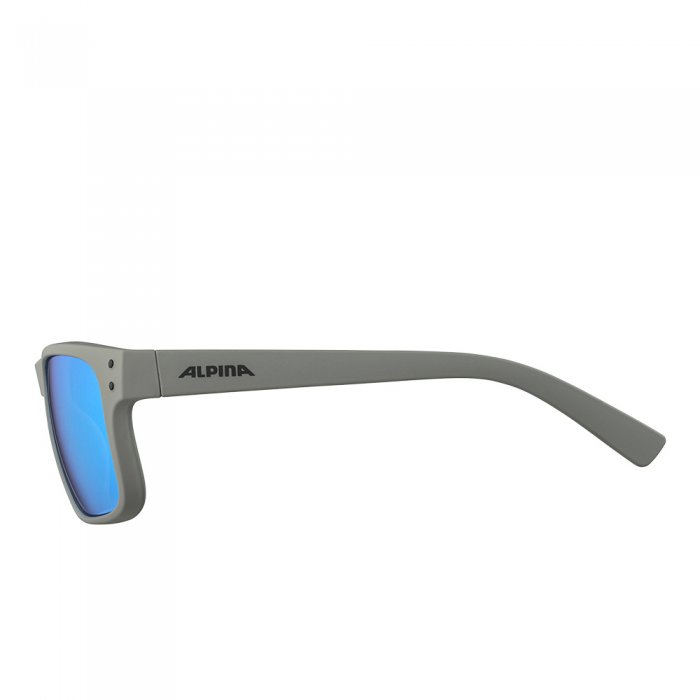 Ochelari Alpina Kosmic Moon/Grey Matt [3]