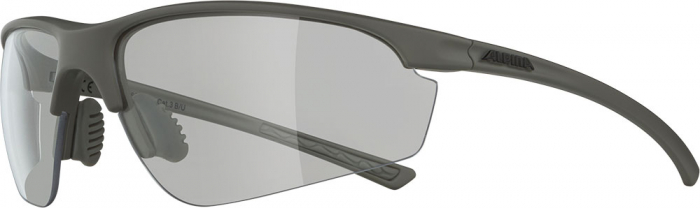 Ochelari Alpina Tri-Effect 2.0 Gri [7]