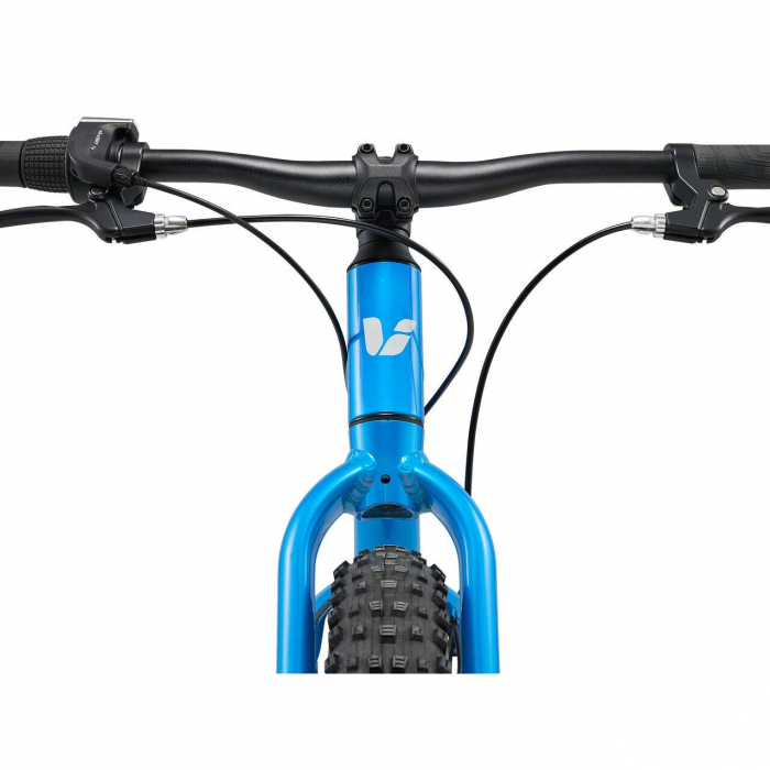 Bicicleta Copii GIANT STP 20"er Liv Al Blue [4]