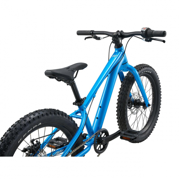 Bicicleta Copii GIANT STP 20"er Liv Al Blue [2]