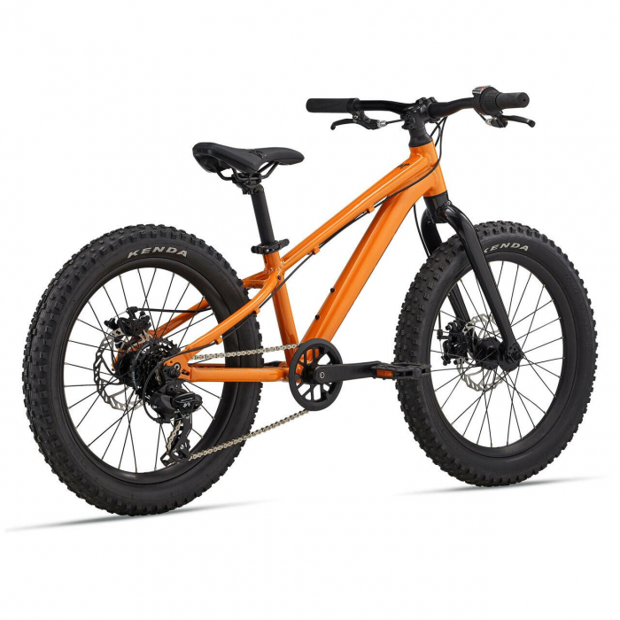 Bicicleta Copii GIANT STP 20"er Sandstorm 2024 [2]