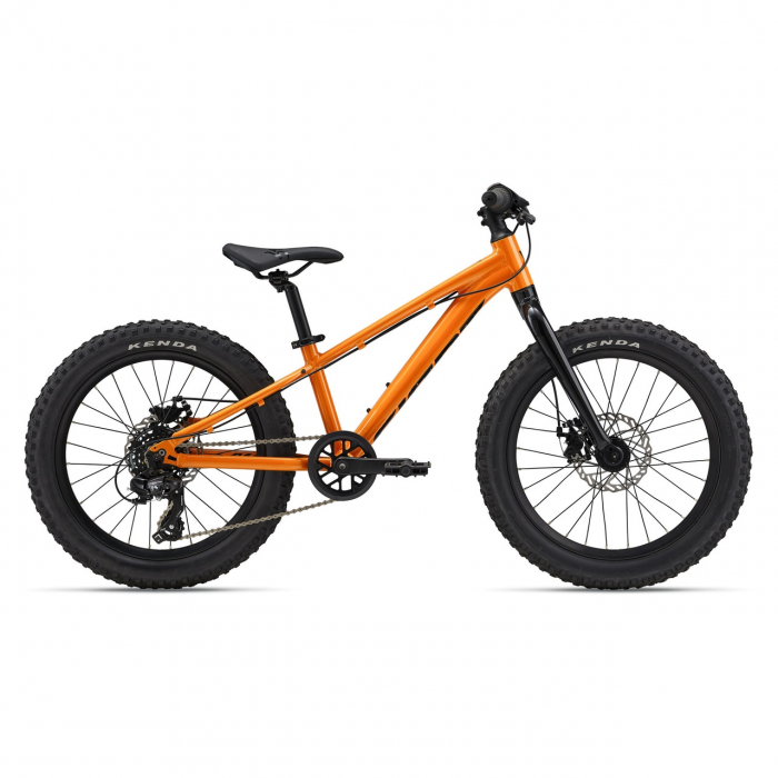 Bicicleta Copii GIANT STP 20"er Sandstorm 2024 [1]