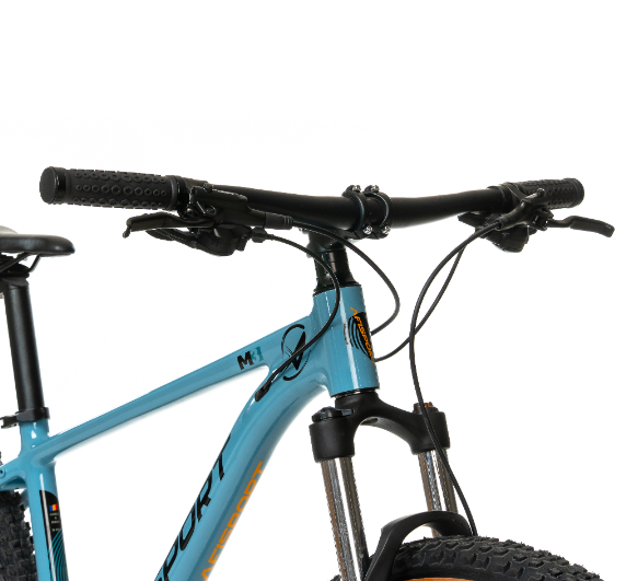 Bicicleta Mtb Afisport M3 2025 - 29 inch, S (420 m), Albastru [8]