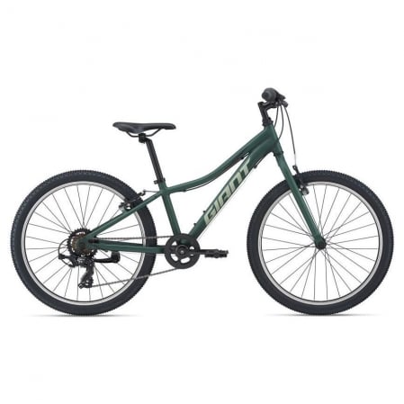 Bicicleta Copii GIANT XTC Jr 24" Trekking Green 2021 [0]
