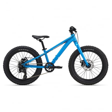 Biciclete copii - Bicicleta Copii GIANT STP 20"er Liv Al Blue