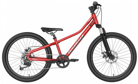 Biciclete copii - Bicicleta copii Royal Baby  24" Red