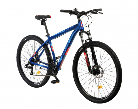 Bicicleta Mtb Terrana 2925 - 29 Inch, M, Albastru [1]