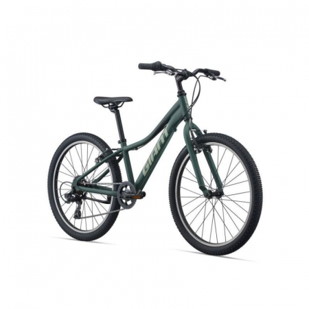 Bicicleta Copii GIANT XTC Jr 24" Trekking Green 2021 [1]