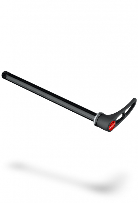 Ax Spate DT Swiss, L=173mm, M12x1.0 [1]