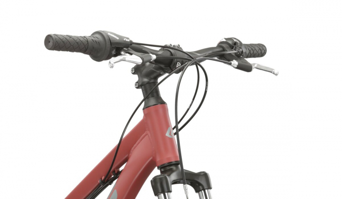 Bicicleta MTB Kross 2025 Lea 1.0 26", Bordo/Gri, XS (26x15) [4]