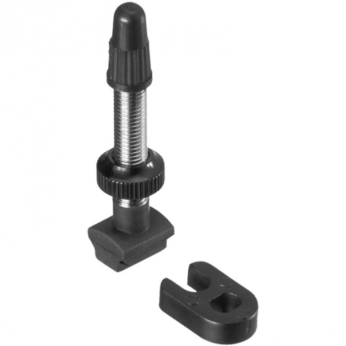 Valva Tubeless DT SWISS MTB [1]