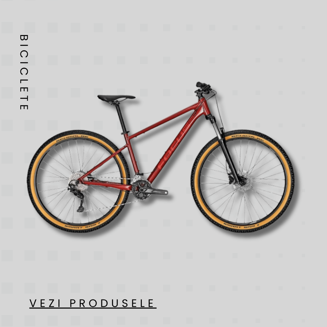 biciclete
