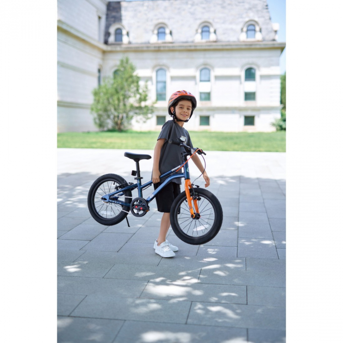 Bicicleta Royal Baby Kable-EZ 14 Golden [6]