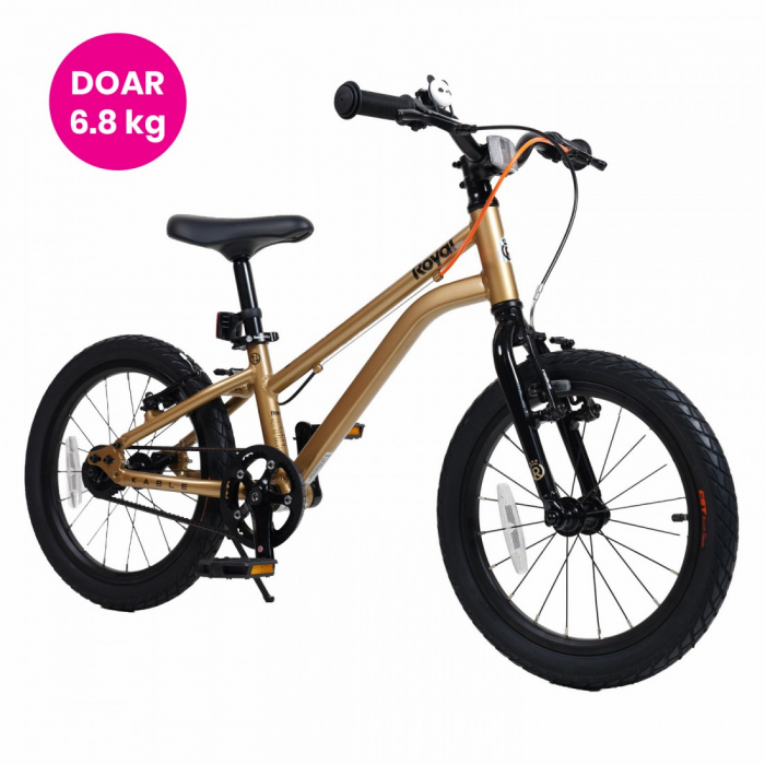 Bicicleta Royal Baby Kable-EZ 16 Golden [1]
