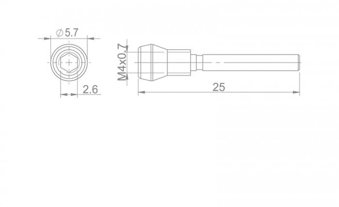 Surub de blocare a placutelor de frana M4 x 25 - SRAM RED/FORCE/RIVAL  [2]