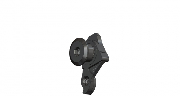 Ureche Cadru PILO D1000 Canyon, SRAM UDH [1]