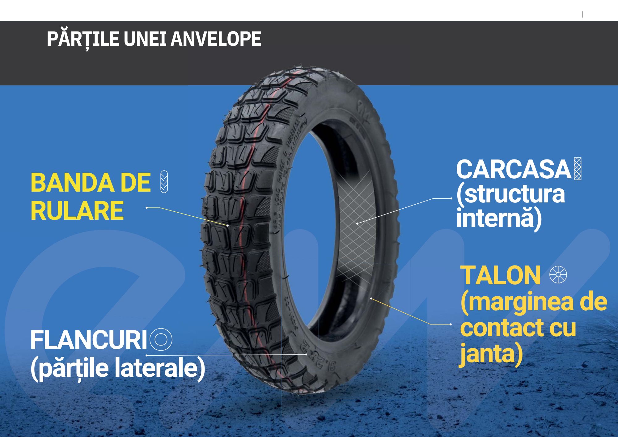 structura unei anvelope