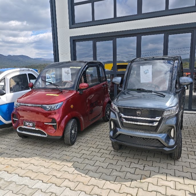 masina electrica fara permis