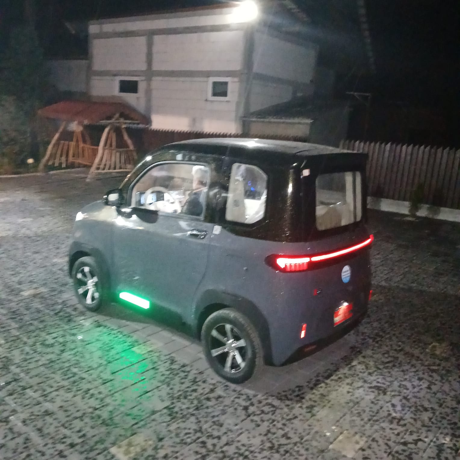 masina electrica arora