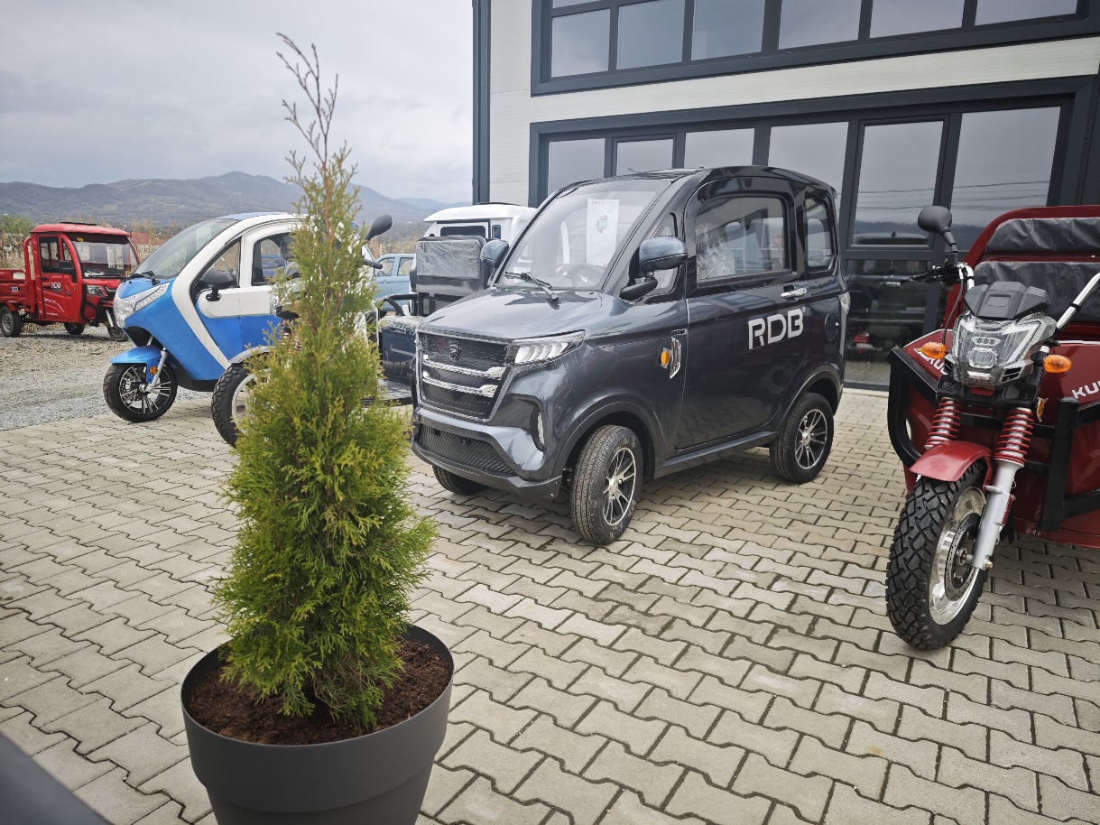 rdb soft masina electrica