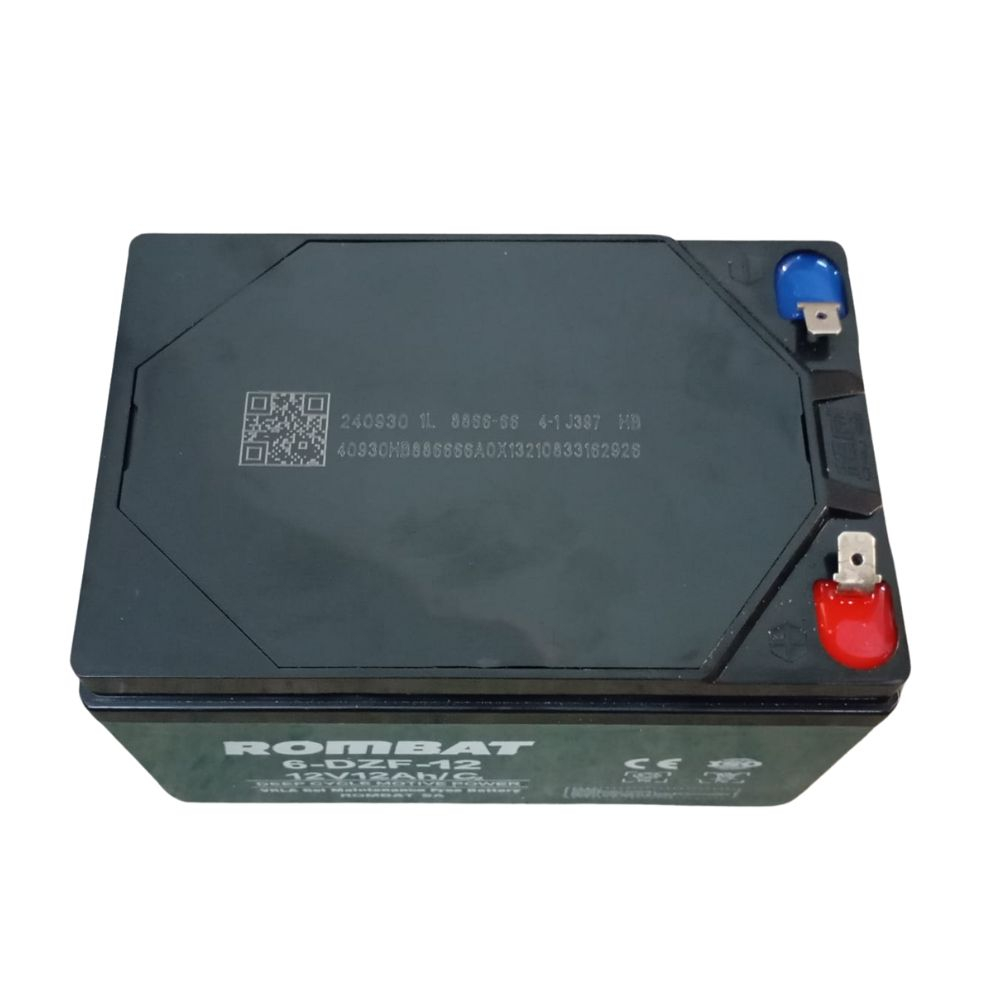 Acumulator vehicule electrice 12V 12Ah, cu papuc (6-DZF-12) [3]