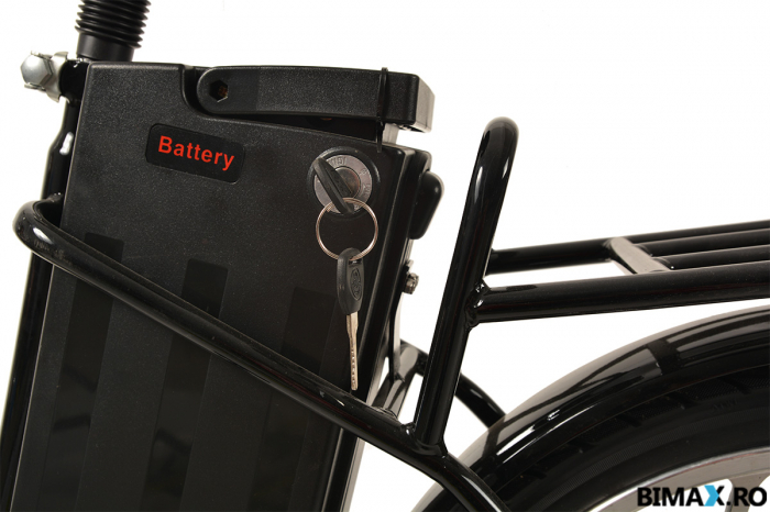 Bicicleta electrica TRD 20 [7]