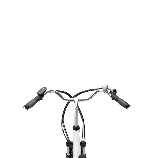 Bicicleta electrica ZT-34 Verona [5]