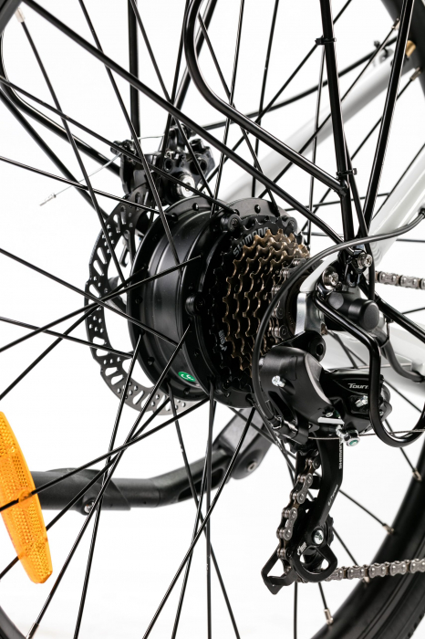 Bicicleta electrica ZT-84 (Trek) [7]