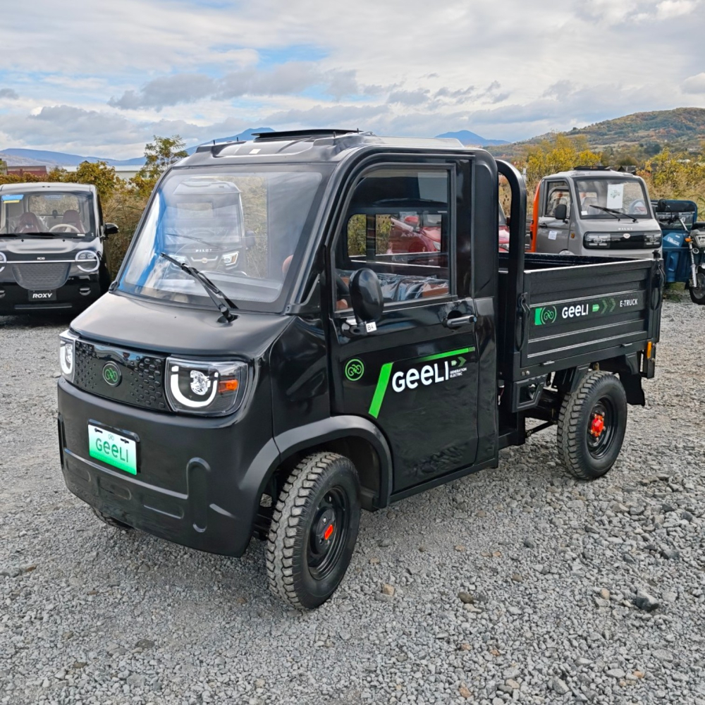Camioneta Electrica cu remorca basculabila, motor 3000W, Litiu 120Ah, Autonomie 108km, Geeli E-truck [44]